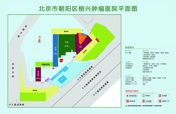 老年人操屄视频北京市朝阳区桓兴肿瘤医院平面图